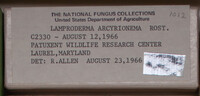 Image Associated With the Occurence